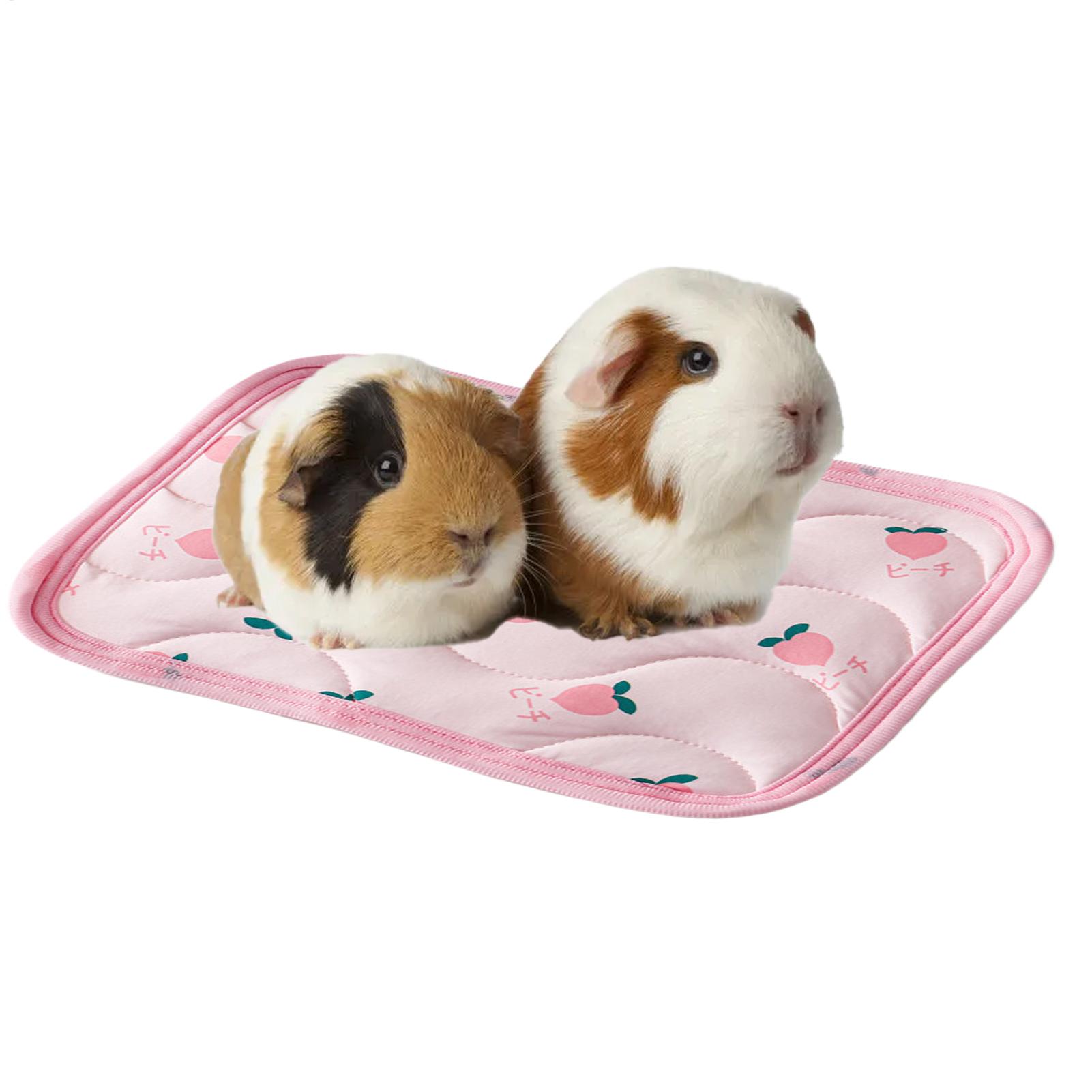 Waschbare Kühlmatte für Hausti – Outdoor Camping Dog Bed Bewertung und Preis